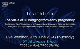 East meets West Obstetrics and Gynaecology US Webinar - The value of 3D imaging from early pregnancy